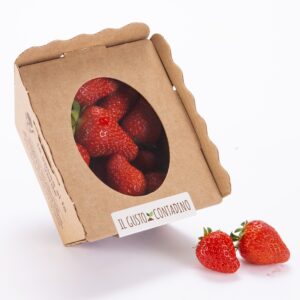 Cestino 250 g fragole_resized